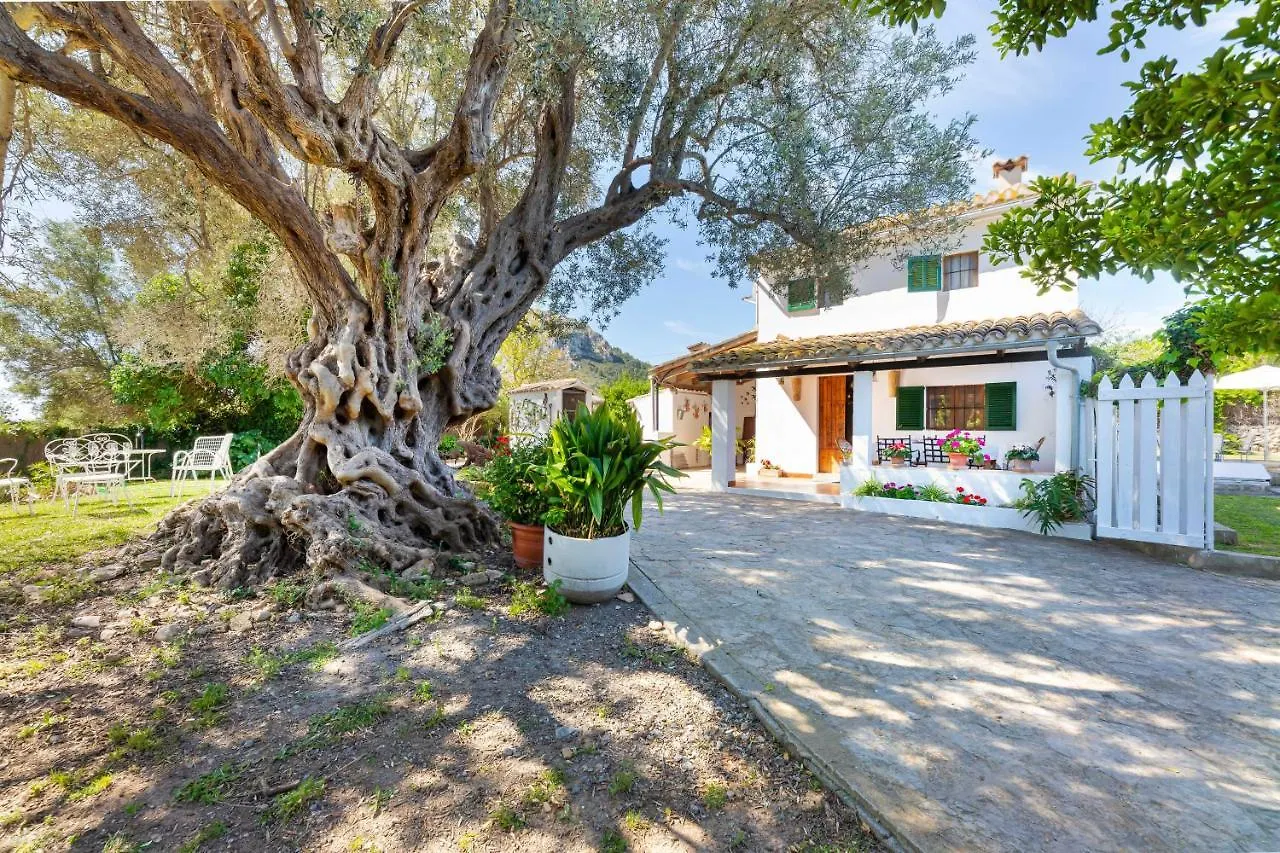 Finca Sa Llegua Alcudia 0*,